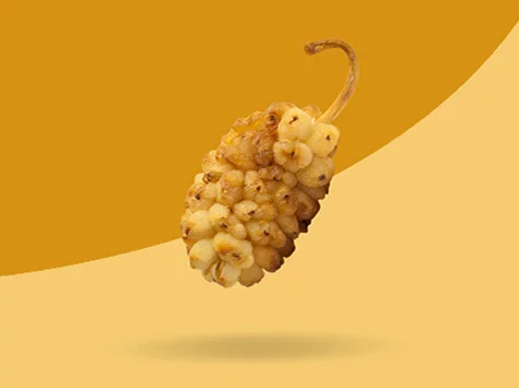 Aksun Dried Mulberry
