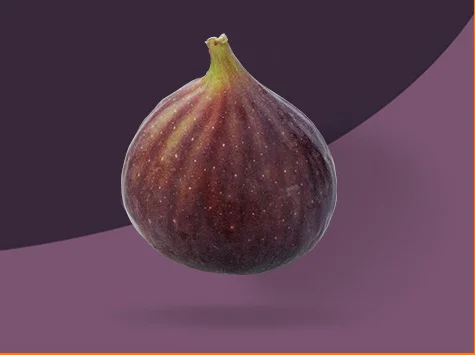 Aksun Fig
