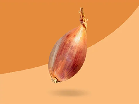 Aksun Onion
